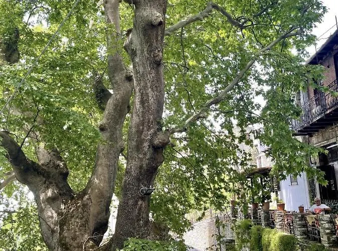 Daire Marine With Sea & Port View!