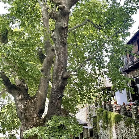 شقة Marine With Sea & Port View!